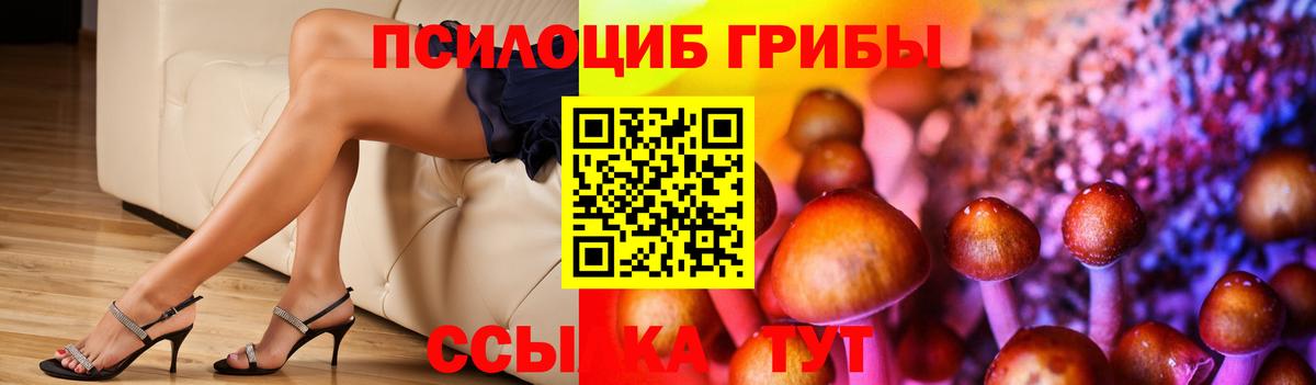 Туймазы  Галлюциногенные грибы Cubensis  Галлюциногенные грибы MAGIC MUSHROOMS  Вход с VPN 