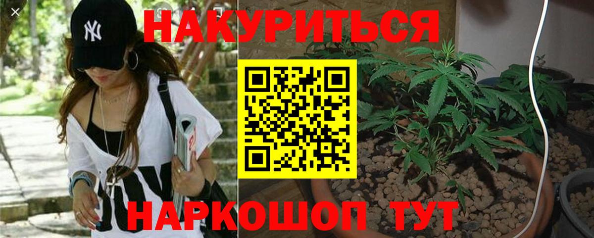 Бошки марихуана сатива Туймазы